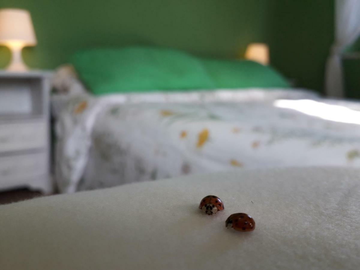 Alle Preci Country House Santa Restituta Kültér fotó